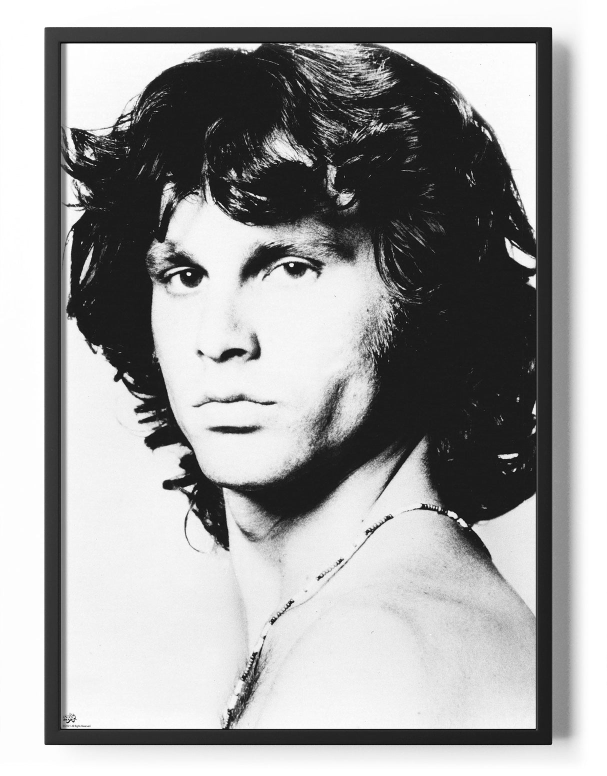 Jim Morrison Portrait Poster