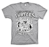 TMNT Distressed Since 1984 T-Shirt