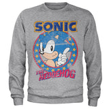 Sonic The Hedgehog Sweatshirt