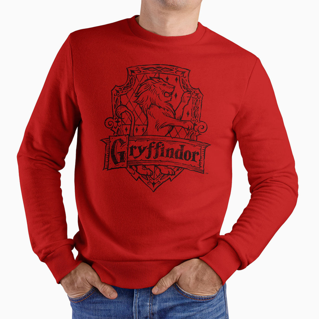 Harry Potter Gryffindor Washed Crest Sweatshirt