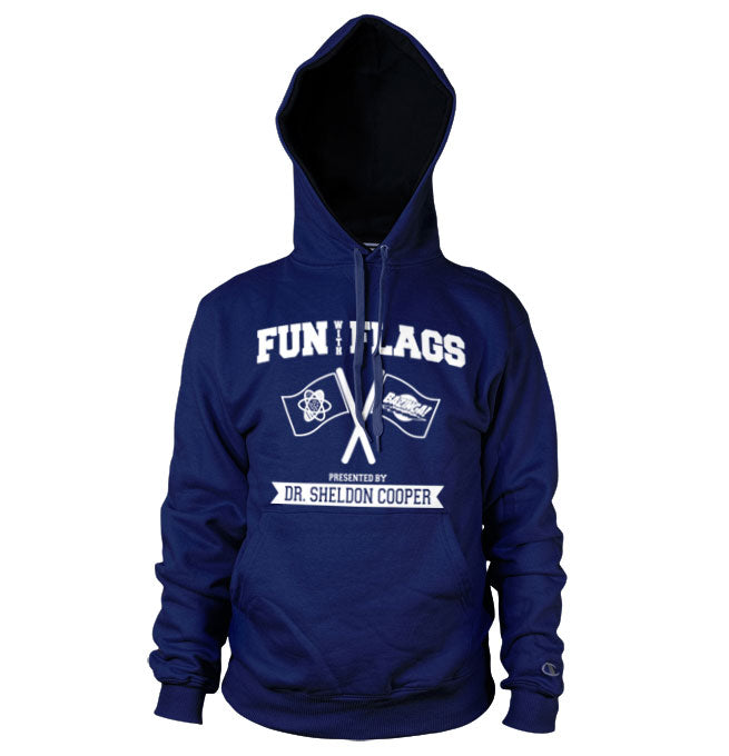 Fun With Flags Hoodie