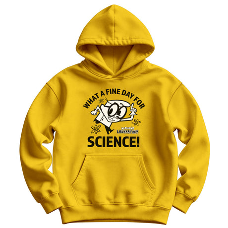 What A Fine Day For Science Kids Hoodie
