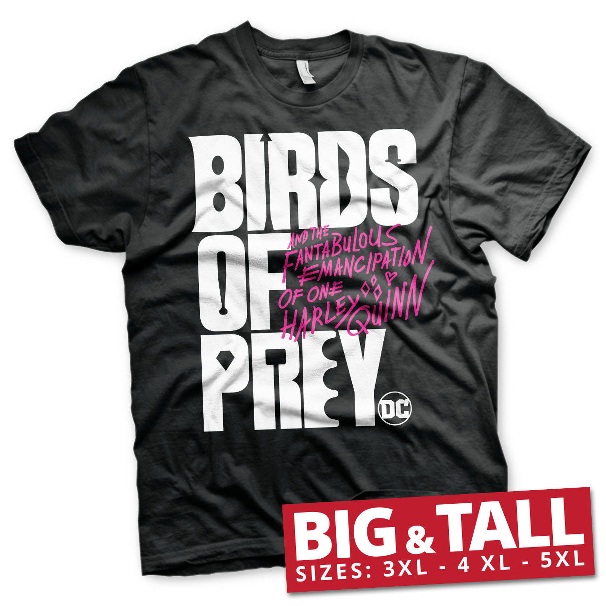 Birds Of Prey Logo Big & Tall Tee